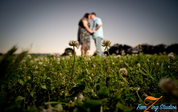 Clemson Botanical Gardens Engagements