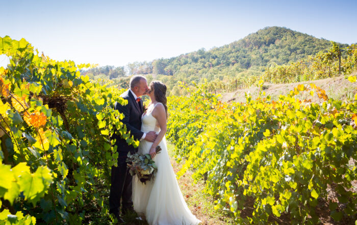 Victoria Valley Vineyard Wedding