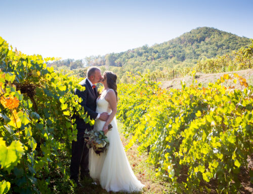 Victoria Valley Vineyard Wedding | Charlotte and Daniel